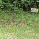 Bills Hill Sign - near Bills House